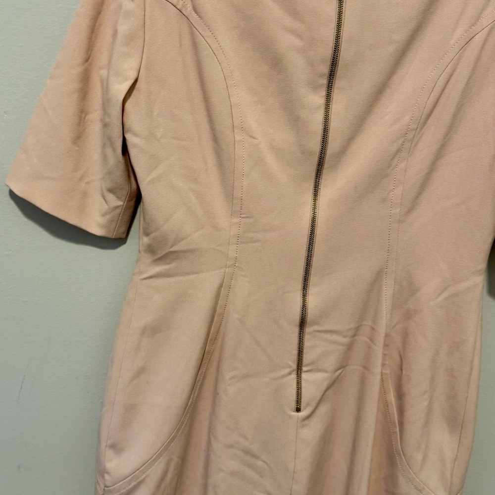 Tahari by ASL Blush Pink Sheath Dress w/Pocket, Size 6 Petite - Picture 7 of 13